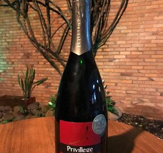 Vinho e Arte
