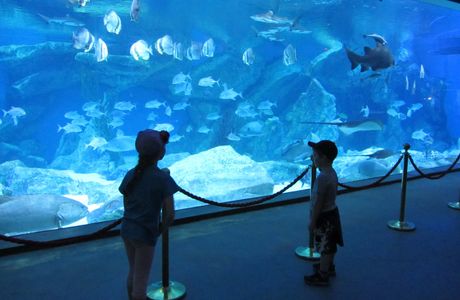 Haichang Polar Ocean World