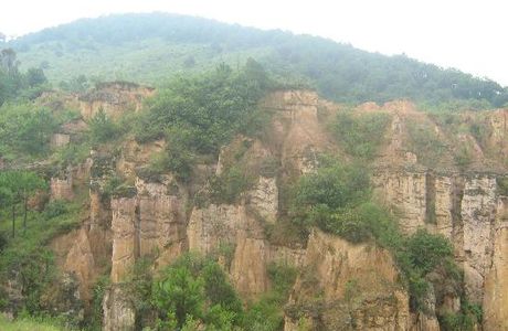 Huanglian Earth Forest