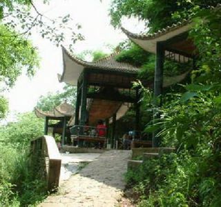 Mianyang Fenghuang Mountain Forest Park