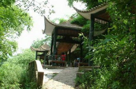 Mianyang Fenghuang Mountain Forest Park