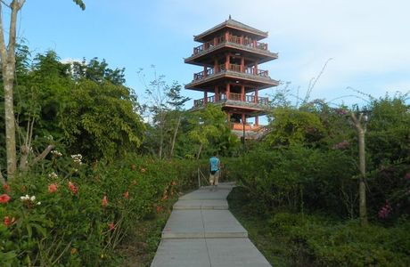 Dazhulin Forest Park