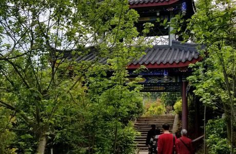 Tai Yi Xian Shan Botanic Gardens