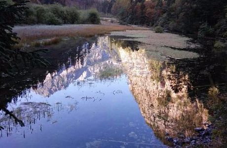 Jianyuan Virgin Forest