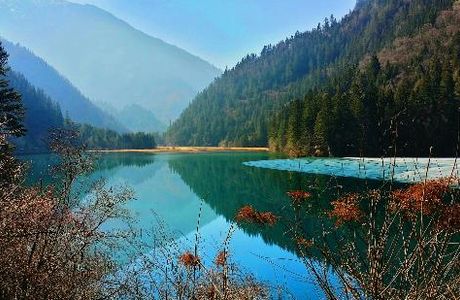 Arrow Bamboo Lake