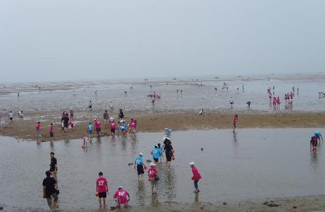 Rizhao Liujiawan Seahunting Spot