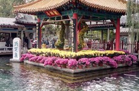 The World Best Spring Scenic Area