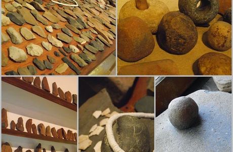 Shanwang Fossil Museum