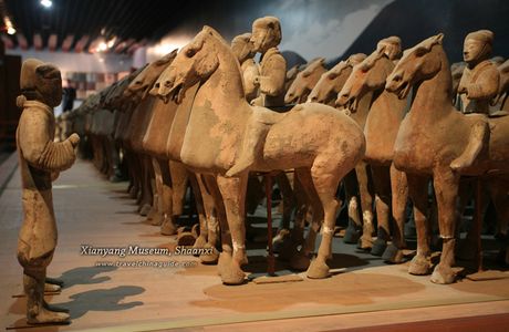 Medical History Museum of Shaanxi