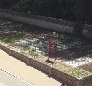 Zaoyuan Revolutionary Site of Yan'an