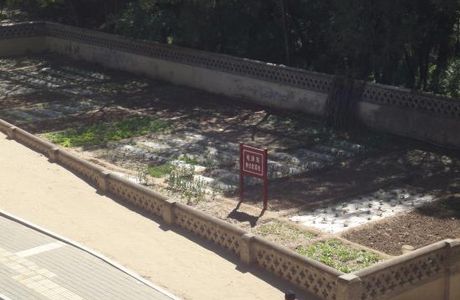 Zaoyuan Revolutionary Site of Yan'an