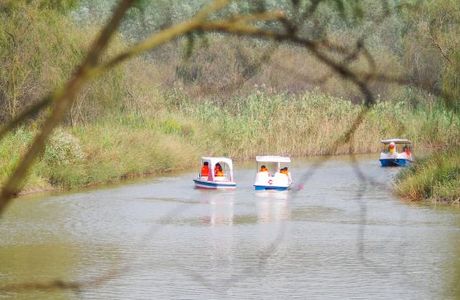 Chongming Yangtze River Delta National Geopark