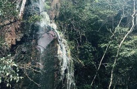 Niutou Mountain National Forest Park