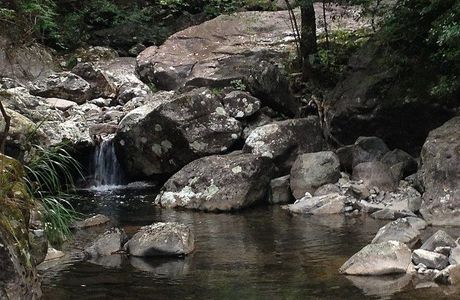 Wuyanling National Nature Reserve of Zhejiang