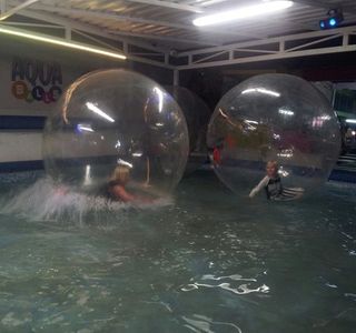Speedball Zorbing