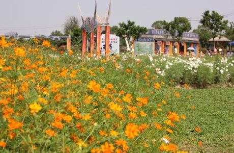 Yuhuan Xuanmen Agriculture Park