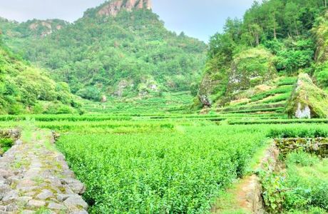 Qianzhang Canyon