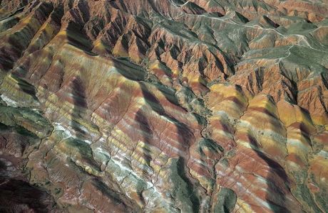 Xinchang Silicified Wood National Geological Park