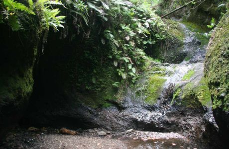 Papua ( Wigmore's) Waterfall