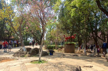 Kunming Zoo