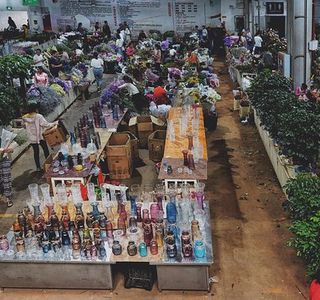 Dounan International Flowers Industrial Park