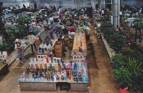 Dounan International Flowers Industrial Park