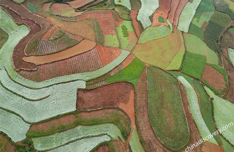 Dongchuan Red Land