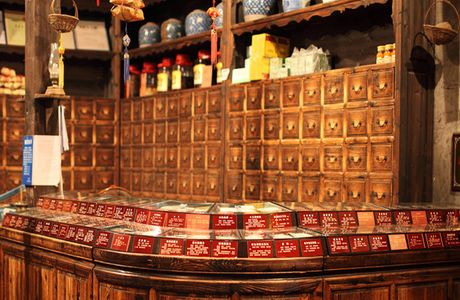 Museum of Traditional Chinese Medicine (Hu Qing Yu Tang)