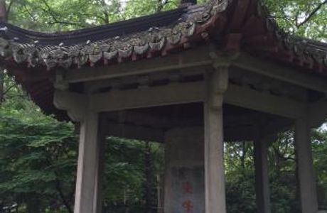 Shuangfeng Chayun Scenic Resort