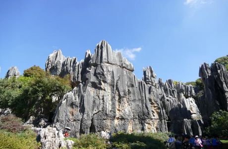 Grand Stone Forest
