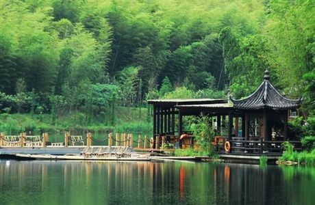 Anji Zhuxiang National Forest Park