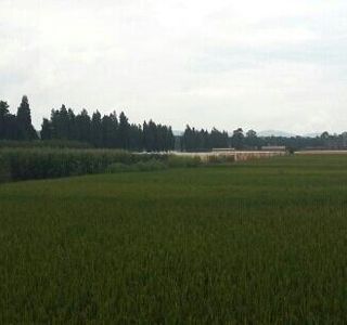 Qingshui Vacation Village