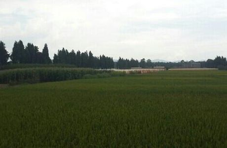 Qingshui Vacation Village
