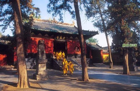 Regular Yard, Shaolin Temple
