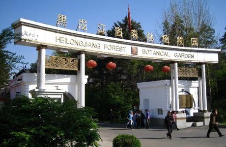 Harbin Forest Park