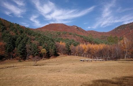 Jinshan Deer Park