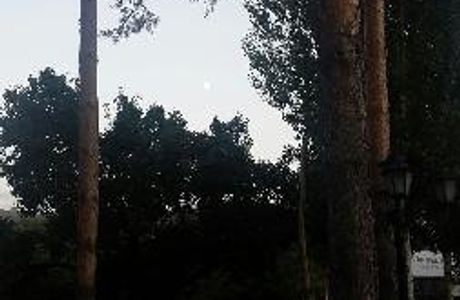 Xiaoxing'anling Forest