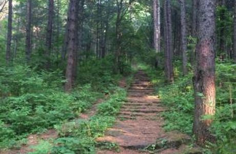 Xing'an Forest Park
