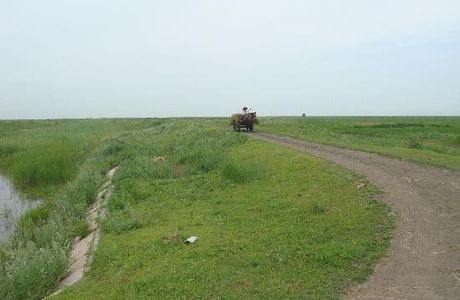 Qiqihaer Forest Park
