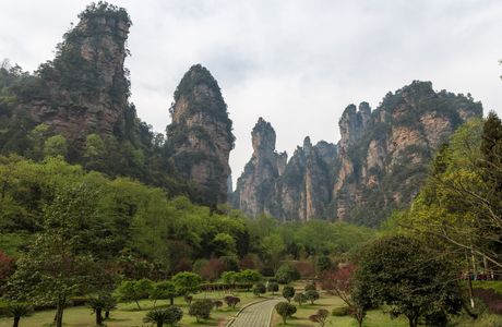 Mt. Yuanbao Forest Park