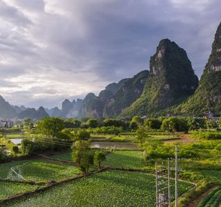 Guilin Botanical Garden