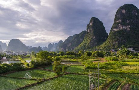 Guilin Botanical Garden
