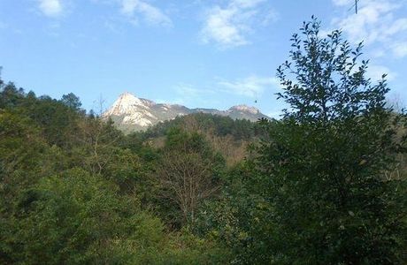 Mt. Yunji Nature Reserve