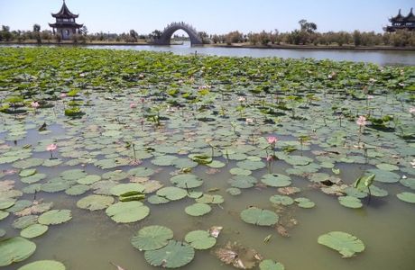 Longfeng Marsh