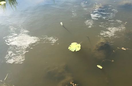 Sanjiang Marsh Nature Reserve