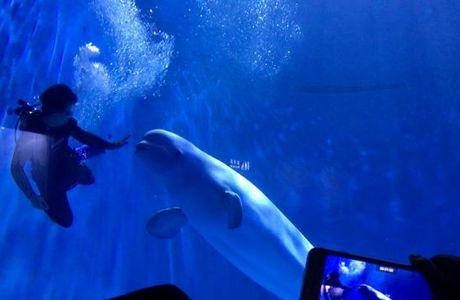 Colorful Guizhou Polar Ocean World