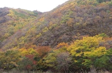Lover 's Valley of Wudang