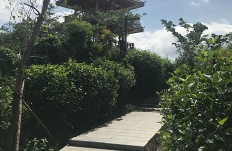 Lin Chun Ling Forest Park