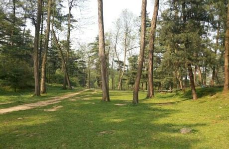 Changpoling Forest Park