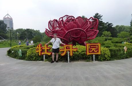 Peony Garden